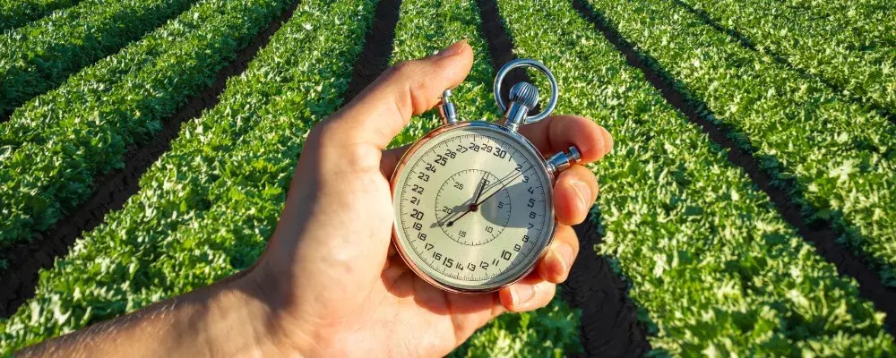Acceso biométrico: Control en tiempo real 100% seguro