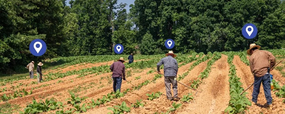 Geolocalización, una aliada para el control de asistencia en las empresas del Agro